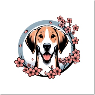 American Foxhound Enjoys Spring with Cherry Blossoms Posters and Art